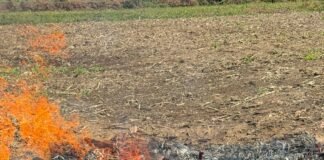 Polres Binjai Grebek dan Musnahkan Barak Narkoba di Kecamatan Binjai Timur