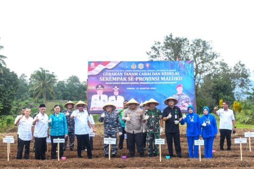 Sinergi Kodaeral IX Ambon, Pemda&Lintas instansi Dorong Ketahanan Pangan, Tanam Cabai & Kedelai