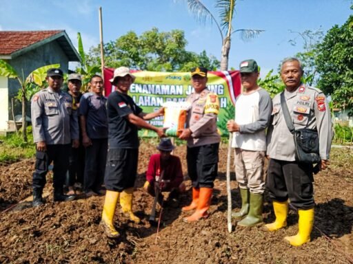 Sinergi Polri dan Petani, Polsek Patokbeusi Tanam Jagung Dukung Swasembada Pangan 2025