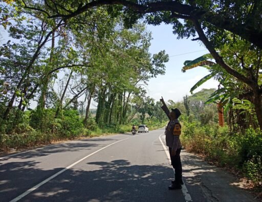 Polsek Ngimbang Menggelar Patroli Antisipasi Pohon Tumbang Di Jalan Raya Ngimbang – Jombang