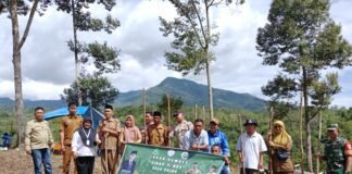 Dukung Program Pusat, BUMDes Desa Daneu Tanam 1 ha Jagung tahap 1.