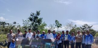 Dukung Program ketahanan pangan”BUMDES TUNAS MUDA” laksanakan penanaman jagung & Tomat.