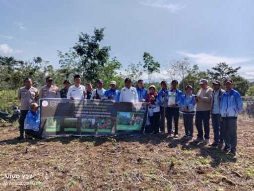 Dukung Program ketahanan pangan”BUMDES TUNAS MUDA” laksanakan penanaman jagung & Tomat.
