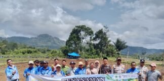 Asta Cita Presiden RI, Bumdes Desa Tik Tebing Dukung Program Tanam Jagung untuk Ketahanan Pangan.