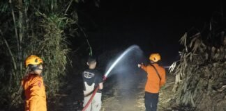 Purwakarta Terbitkan Surat Edaran Antisipasi Kekeringan dan Kebakaran Hutan