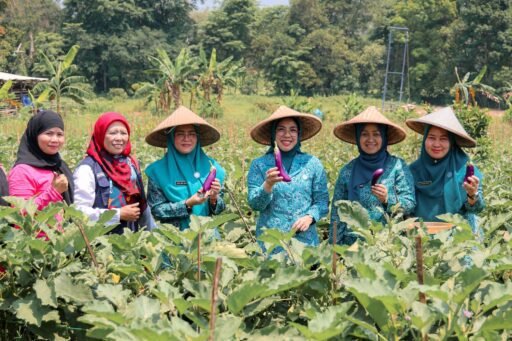 Dari Desa Sodong, Ketua TP PKK Banten Serukan Penguatan Kader untuk Kesejahteraan Keluarga