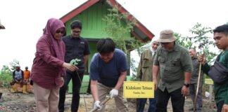 Belantara Foundation Ajak Perusahaan Jepang Tanam Pohon di Tahura Sultan Syarif Hasyim