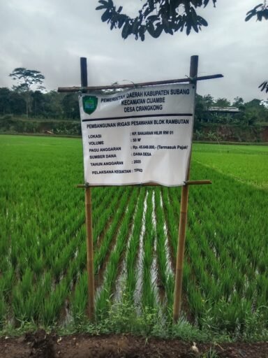Proyek Irigasi Desa Cirangkong Diduga Gunakan Material Bekas, Petani Khawatir Kualitas Bangunan