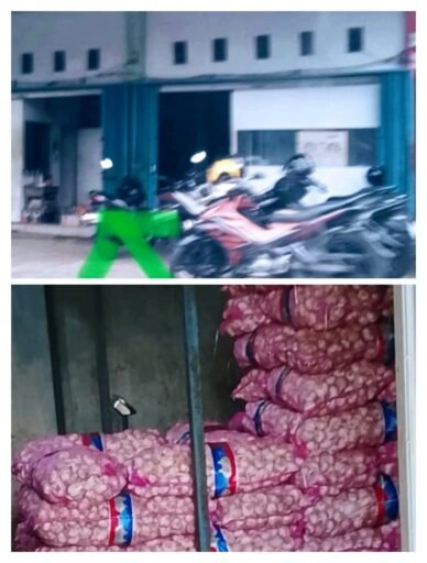 Gudang Bawang Putih Ilegal Milik AS, Diduga Kebal Hukum, Warga Pertanyakan Kemana APH