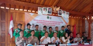 Gelar Pelatihan Ketahanan Pangan Jagung Dan Ayam Desa Raja Kec. Tanah Abang