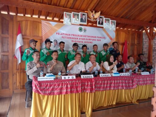 Gelar Pelatihan Ketahanan Pangan Jagung Dan Ayam Desa Raja Kec. Tanah Abang