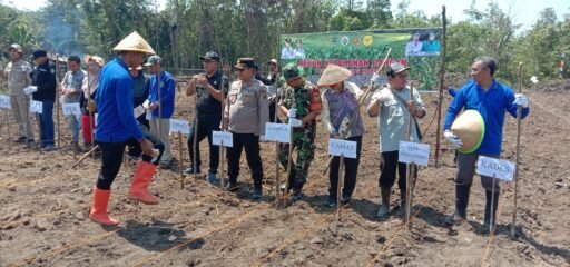 Ketahanan Pangan Tanam Jagung Desa Muara Dua Kec.Tanah Abang PALI