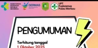 BPJS kesehatan melalui mobile JKN mulai online 1 Oktober