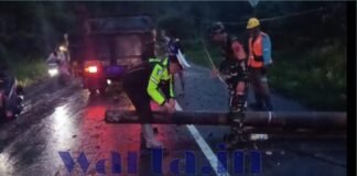 Tiang Listrik Rubuh di Jalan Provinsi di Padang Cahya Lampung Barat
