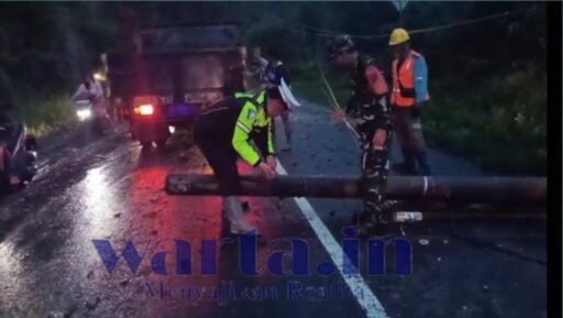 Tiang Listrik Rubuh di Jalan Provinsi di Padang Cahya Lampung Barat