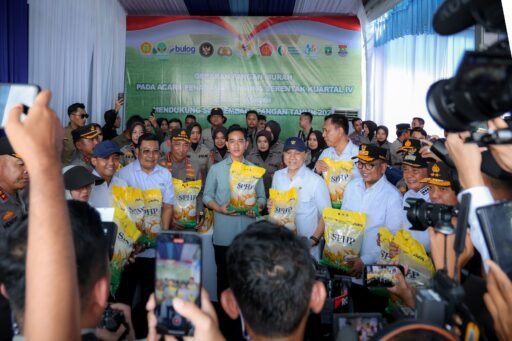 Gubernur Banten dan Wapres Gibran Tanam Jagung Serentak, Stok Pangan Surplus
