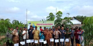 Dalam Rangka Acara Gerakan ketahanan Pangan Masyarakat, Pemerintah Desa Purun Gelar Tanam Jagung.