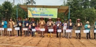 Gelara Acara Ketahanan Pangan, Pemerintah Desa Suka Maju Tanam Jagung Bersama Masyarakat