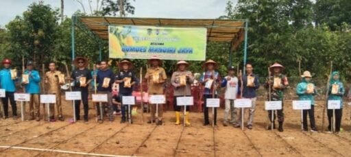 Gelara Acara Ketahanan Pangan, Pemerintah Desa Suka Maju Tanam Jagung Bersama Masyarakat