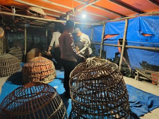 Dalam Sehari, Polres Lamongan Grebek Dua Arena Judi Sabung Ayam Di Dua Kecamatan