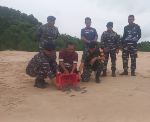 Jaga Kelestarian Ekosistem Laut, Komandan Lanal Bandung Lepas Tukik Ke Alam Bebas