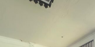 Wali Kota Bekasi Terima Kunjungan Edukasi Siswa SLB Patriot, Ajak Keliling Area Kantor Pemkot