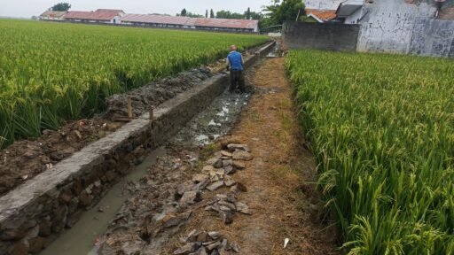 Membedah Proyek Oplah Blanakan: Dugaan Cashback 20–30 Persen dan Pekerjaan Asal Jadi