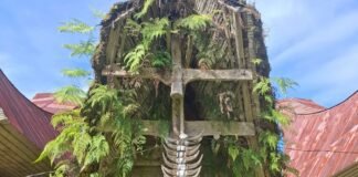 Tanah dan Tongkonan Ka’pun Tidak Pernah Masuk Objek Berperkara, Putusan Ekseskusi Dipertanyakan