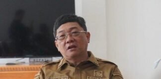 Bupati Torut Dukung Penuh Demplot Tanaman Kopi Asli Toraja Arabika Tipika