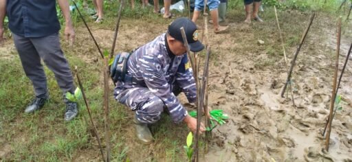 Lanal Bandung&Dinas Kelautan Dan Perikanan Jabar Gelar Penanaman Mangrove Di Pantai Selatan Jabar