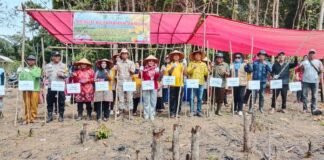 Gelar Acara Ketahanan Pangan Penanaman Jagung, Kepemerintahan Desa Tanah Abang Selatan Mandiri.