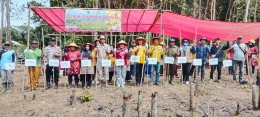 Gelar Acara Ketahanan Pangan Penanaman Jagung, Kepemerintahan Desa Tanah Abang Selatan Mandiri.
