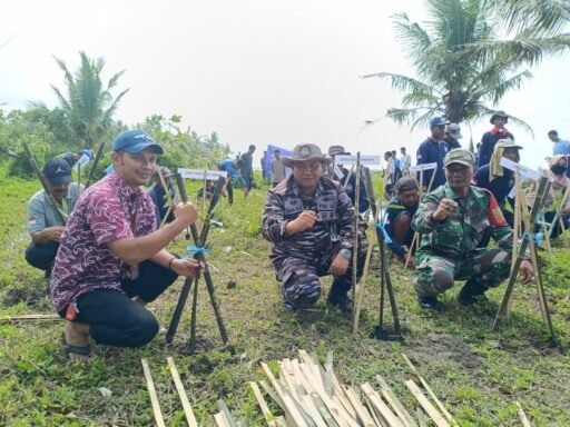 Penanaman Mangrove Selatan Jabar 2025 Terus Dilakukan Pangkalan TNI AL Bandung Dan DKP Jawa Barat