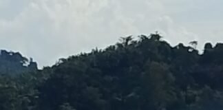 Tambang Ilegal Kembali Mengganas di Sanggau: Sungai Rusak, Hukum Diam, Warga Mengeluh