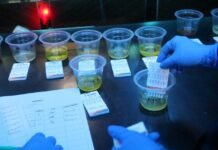 Ciptakan Sumut Bersih Narkoba, Polda Sumut Razia THM Kripton Medan, 11 Positif Narkoba