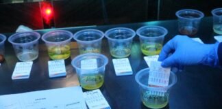 Ciptakan Sumut Bersih Narkoba, Polda Sumut Razia THM Kripton Medan, 11 Positif Narkoba