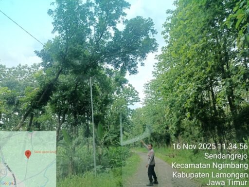 Antisipasi Pohon Tumbang Anggota jaga Polsek Ngimbang Gelar Patroli Di Jalur Rawan Bencana