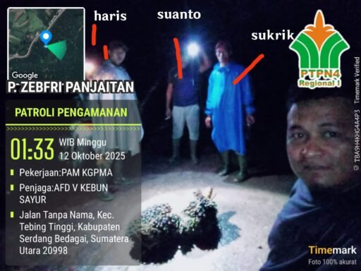Dirut PTPN 4 Diminta Evaluasi Manajemen Gunung Pamela, Whistleblower Pencurian TBS DI – PHK