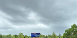 Lanal Bengkulu Tanam Satu Juta Mangrove dan Bersih Pantai di Hari Armada