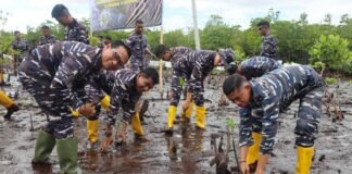 Kodaeral X Ajak Masyarakat Peduli Pesisir Dengan Menanam Mangrove Untuk Masa Depan