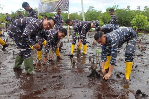 Kodaeral X Ajak Masyarakat Peduli Pesisir Dengan Menanam Mangrove Untuk Masa Depan