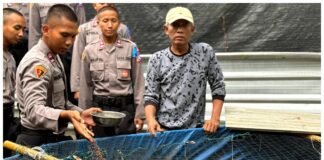 Live In’ : Siswa Diktukba SPN Polda Jatim Edukasi Budidaya Bandeng dan Jamur di Gresik