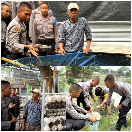 Live In’ : Siswa Diktukba SPN Polda Jatim Edukasi Budidaya Bandeng dan Jamur di Gresik