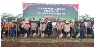 Polresta Banyuwangi Dorong Penguatan Ketahanan Pangan Lewat Penanaman Jagung Kuartal IV 2025