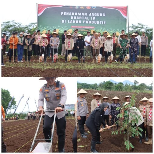 Polresta Banyuwangi Dorong Penguatan Ketahanan Pangan Lewat Penanaman Jagung Kuartal IV 2025