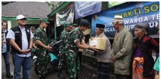 Kasdam Brawijaya Tinjau Lokasi Terdampak Erupsi Semeru