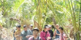 Diduga Keterlibatan Kep. Desa Mengkirau Toha dlm Kasus Pencurian Phm Rumbia dn Pemalsuan Dokumen