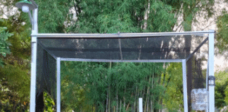 Memanfaatkan Lahan Terbatas Untuk Aquaponik