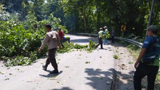 Anggota Polsek Ngimbang Giat Pengaturan Lalu Lintas Serta Evakuasi Penebangan Pohon Rawan Tumbang