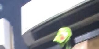 Sales Mobil Ngaku Disekap, Diculik dan Disiksa Seharian